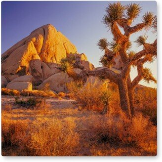 Photo Tiles: Rocks In Joshua Tree Photo Tile, Metal, 8X8, Brown