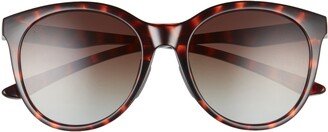 Bayside 55mm Polarized Round Sunglasses