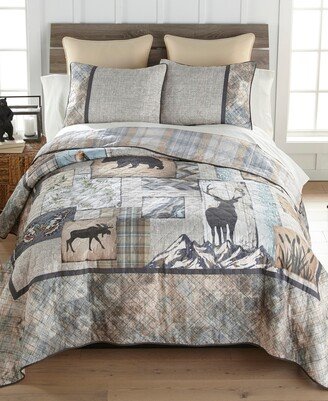 Natures Collage 3 Piece Quilt Set, Queen