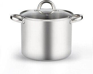 Basics Stainless Steel Stockpot with lid 8 Qt