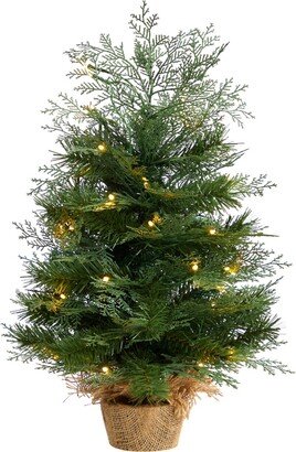 Artificial Christmas Tree in Burlap Base with 35 Warm Led Lights, 2'