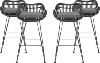 Dale Outdoor Wicker Bar Stools