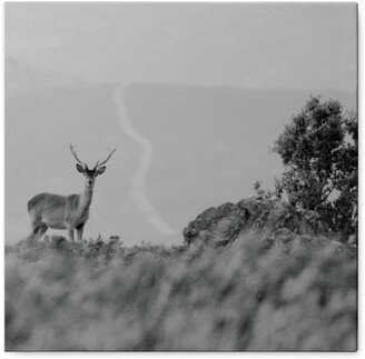 Photo Tiles: Deer In The Mountains - Black And White Photo Tile, Canvas, 8X8, Gray