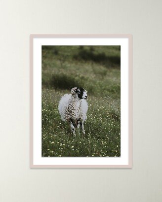 Four Hands Art Studio Sheep Giclee Art by Annie Spratt