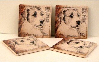 Jack Russell Terrier Coasters Set of 4 - Teal - 4 W x 4 L x 1/4 D.