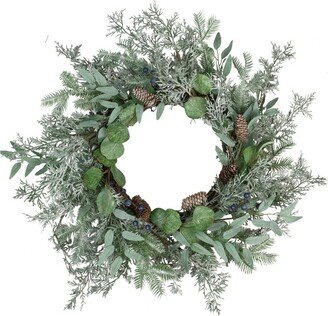 Northlight Frosted Green Mixed Foliage and Blueberries Artificial Christmas Wreath, 26-Inch, Unlit