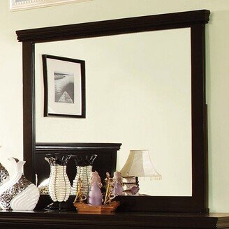 Pebble Contemporary Espresso Mirror - clear