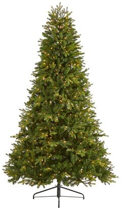 Washington Fir Artificial Christmas Tree with 600 Clear Lights and 1610 Bendable Branches