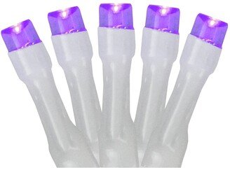 Northlight Set of 20 Battery Operated Purple Led Wide Angle Christmas Lights - White Wire