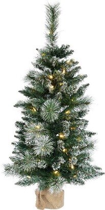 3' Snow Tipped Mixed Pine Artificial Christmas Tree, Warm White Dura-lit LED Lights