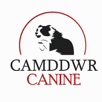 CAMDDWR CANINE UK Promo Codes & Coupons