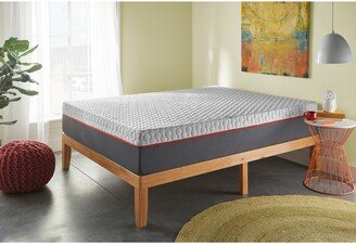 Corsicana Early Bird 12 Memory Foam Plush Mattress- Full