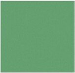 100 lb. Cardstock Paper 12 x 12 Holiday Green 500 Sheets/Pack (1212-C-L17-500)