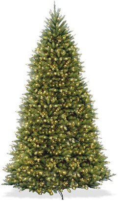 National Tree Company 10' Dunhill Fir Full-Bodied & Hinged Tree With 1200 Clear Lights