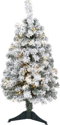 Flocked Rock Springs Spruce Artificial Christmas Tree with Lights, 36