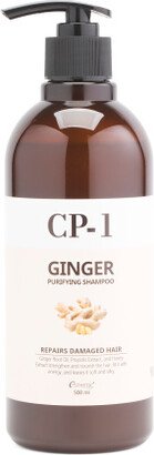 TJMAXX 16.9Oz Ginger Shampoo