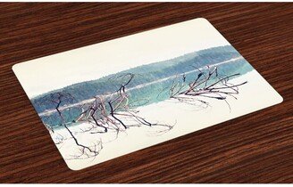 Driftwood Place Mats, Set of 4