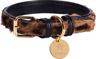 Poisepup Pet Dog Collar - Wildest One