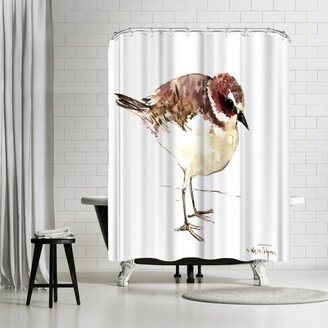 71 x 74 Shower Curtain, Snowy Plover by Suren Nersisyan