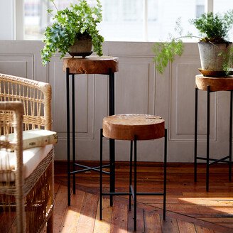 Teak Top + Iron Base Plant Stand