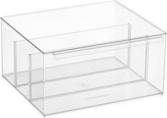 Everything Organizer XL Cabinet Depth Pantry Bin w/ Dividers Clear