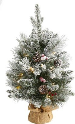 2ft Pre-Lit Flocked Artificial Christmas Tree with Pinecones and Berries Clear Lights