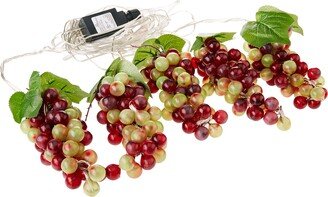 Kurt S. Adler Kurt Adler 100-Light Green and Burgundy LED 5 Grape Bunches Novelty Light Set