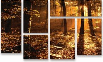 Philippe Sainte-Laudy Morning Light Multi Panel Art Set 6 Piece - 49 x 19