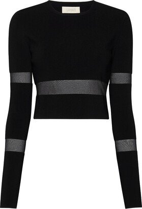 Mesh-Panelling Cropped Top