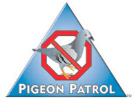 Pigeon Patrol Promo Codes & Coupons