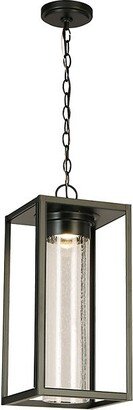 Walker Hill LED Outdoor Pendant Light