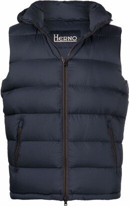 Hooded down vest-AA