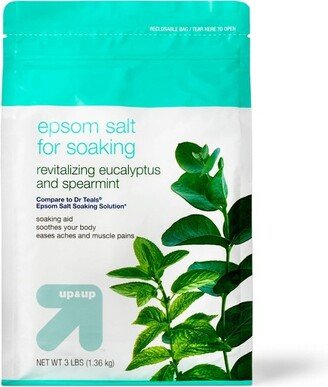 Target Brand - Eucalyptus & Mint Bath Soak - 48oz - up & up™