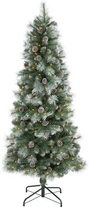 6ft. Frosted Tip British Columbia Mountain Pine Artificial Christmas Tree with 250 Clear Lights
