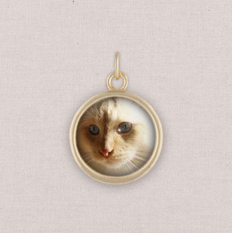 Jewelry: Gold Photo Charm, Circle, White