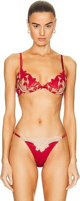 Velvet Lily Embroidery Demi Bra in Red