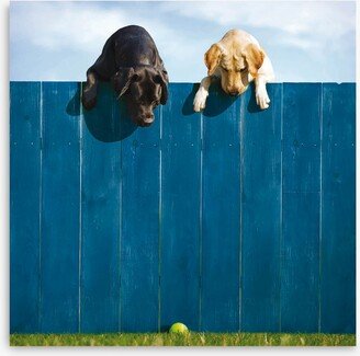 Woodmansterne Fence Dogs Greetings Card