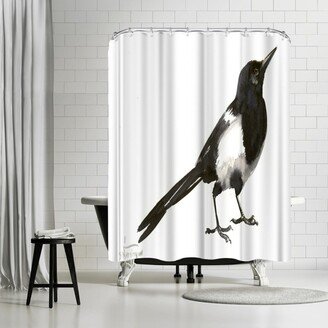 71 x 74 Shower Curtain, Magpie 5 by Suren Nersisyan