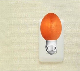 The House of Awareness Himalayan Salt Egg Night Light - Orange