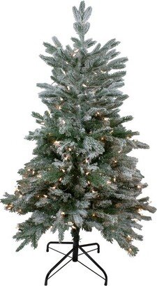 Northlight Real Touch™️ Pre-Lit Flocked Whistler Noble Fir Artificial Christmas Tree - 4.5' - Clear Lights