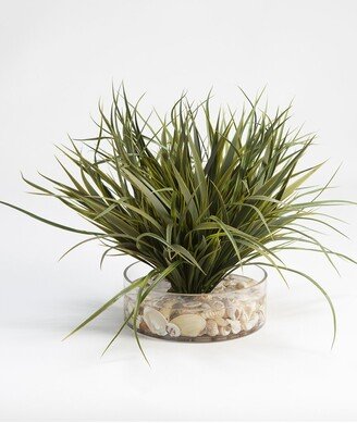 D&W Silks, Inc Grass With Seashells In Glass Vase