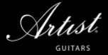 Artist Guitars Promo Codes & Coupons