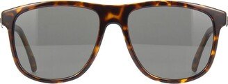 SL 334 Sunglasses