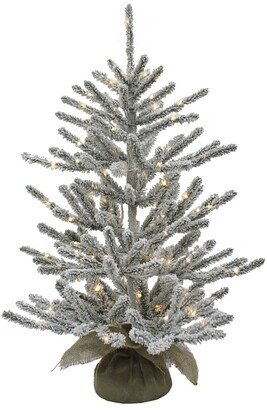 3' Pre-Lit Led Vail Flocked Pine Tree