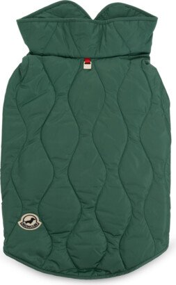 MONCLER POLDO DOG COUTURE Unisex - Green-AA