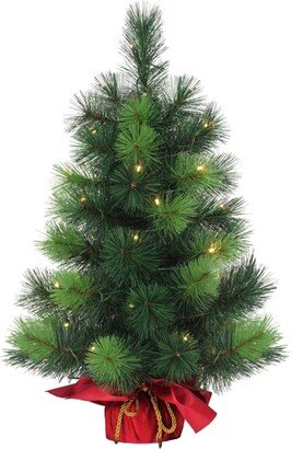 Puleo Pre-Lit Table Top Artificial Christmas Tree with 35 Lights in Sac, 2'