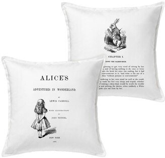 Alice in Wonderland Pillow Cover, Book Pillow Cover