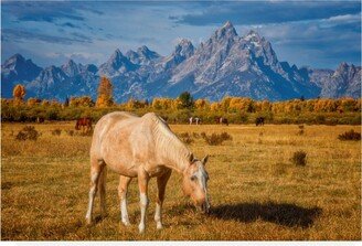 Darren White Photography Breakfast in the Tetons Canvas Art - 19.5 x 26