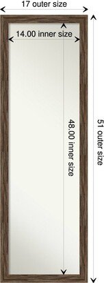 Non-Beveled Wood Full Length On The Door Mirror - Regis Frame