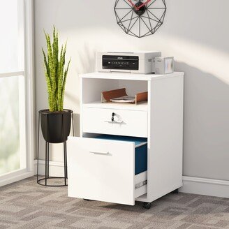 Tribesigns Mobile File Cabinet with Lock and 2 Drawers Filing Cabinet for Letter Size